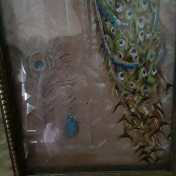Chad Barrett Art Print of a Peacock - Picture 5 of 8